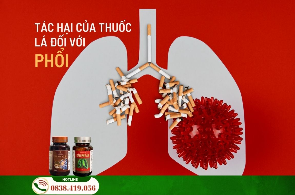 Tác hại của thuốc lá đối với phổi